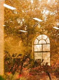 <a href='/pxzx/2024/1104/c751a98824/page.htm' target='_blank' title='西安音乐学院2024年秋季社会艺术水平考级证书可以领取啦！'>西安音乐学院2024年秋季社会艺术...</a>