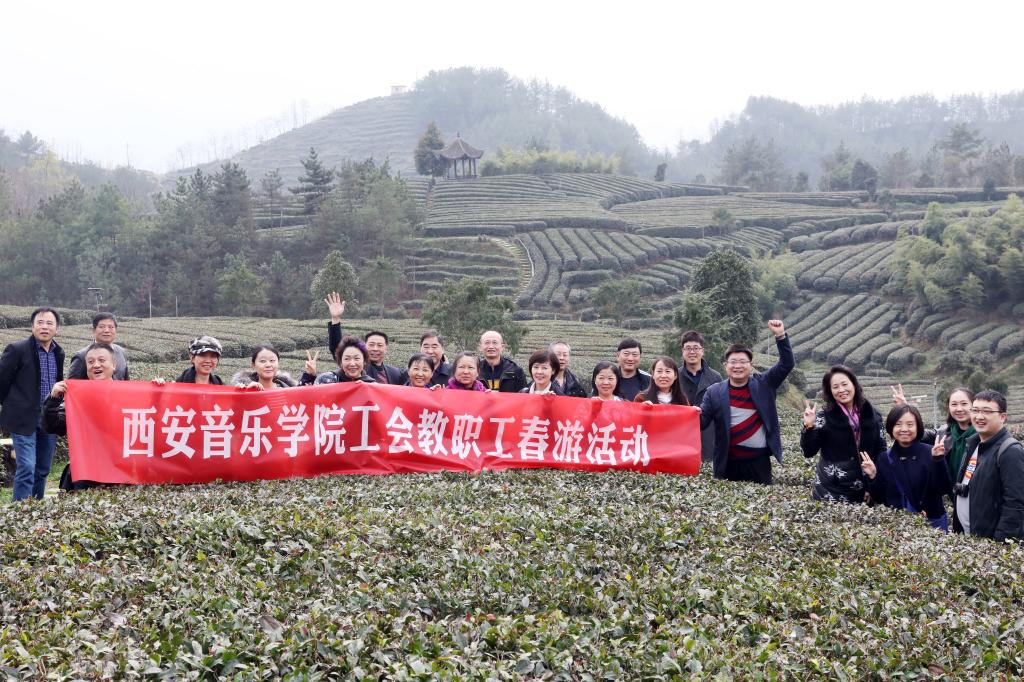 参观玉皇冠茶园